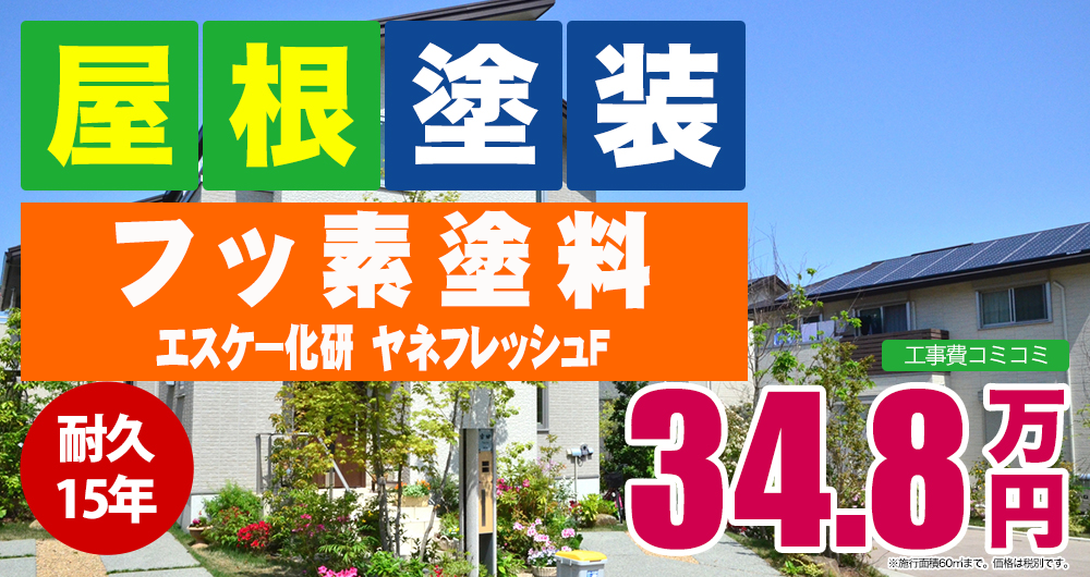 フッ素 エスケー化研 ヤネフレッシュF 348,000円